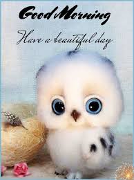 Beautiful Good Morning Day Quote Pictures Photos And Images For Facebook Tumblr Pinteres Cute Good Morning Quotes Good Morning Animation Good Morning Puppy