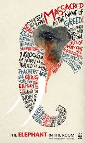 Elephant In The Room Wwf Typography Poster Design Typography Poster Graphic Design Typography