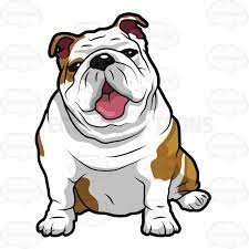 Download 117 bulldog cartoons stock illustrations, vectors & clipart for free or amazingly low rates! Wrinkly English Bulldog Sitting With Its Mouth Open Bulldog Cartoon Bulldog Drawing English Bulldog Puppies