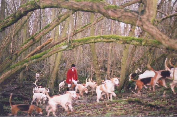 The Hunting Act 2004: 17 Years On. | Naturewatch Foundation