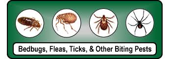 Proudly serving tulsa and the surrounding areas. A 1 American Bedbug Biting Pest Extermination Tulsa Ok