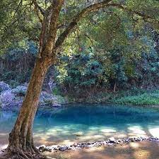 A Place I Will Always Return To Booloumba Creek Booloumba Booloumbacreek Conondale Conodalenationalpar Incredible Places Beautiful Places Beautiful Spots