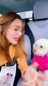 Videos de 💛🌻Dulce Solis🌻💛 (@dulcesolis52) con “sonido original