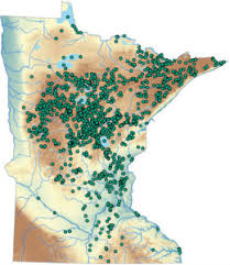 Wash wild rice with cold water and then drain. Protecting Our Wild Rice Heritage Quetico Superior Wilderness News