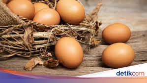 Telur ayam umur 20 hari. Tips Memilih Telur Ayam Yang Baik Menurut Dinas Pertanian Kota Kediri