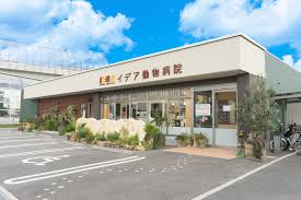 イデア 動物 病院