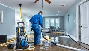 The Importance of Water Damage Restoration: How Quick Action Can Save Your  Property - Smart Green Restoration