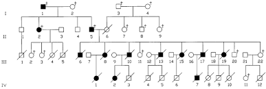 Pedigree Chart Of Reported Family Illustrating Autosomal