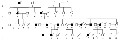 pedigree chart of reported family illustrating autosomal