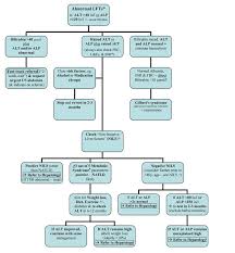 liver function tests via snoopy 1023 pathophysiology