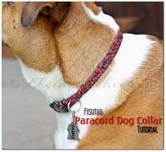 Fishtail Paracord Dog Collar Kleinworth Co Paracord Dog Collars Diy Dog Collar Paracord