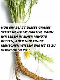 Nur Ein Blatt Dieses Grases Steht In Jedem Garten Kann Ihr Leben In Einer Minute Retten Aber Nur Naturheilkunde Bewegung Fur Kinder Gesundheit