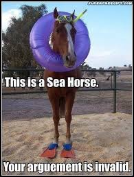 Image result for howrse fun page pics