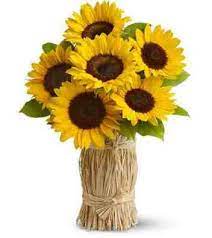 Pengiriman gosend one day delivery Bunga Matahari Toko Bunga Florist Jakarta Toko Bunga Online Florist Di Jakarta Toko Bunga 24 Jam
