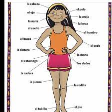 Pin On Spanish