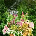 Summer Planter Workshop