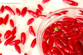 I peperoncini piccanti sono ampiamente usati in cucina. Una Ricetta Per Conservare Sott Olio I Peperoncini Piccanti Freschi Greenme