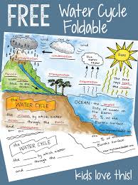 Free Water Cycle Interactive Notebook Activities More Science Lessons Science Doodles Elementary Science