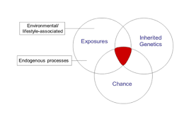 Most cancers are caused by gene faults that develop during our lifetime. Section 4 What Causes Mutations British Society For Cell Biology