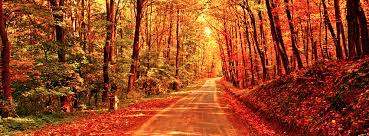 Maybe you would like to learn more about one of these? Fall Autumn Autumn Path Free Facebook Covers Facebook Timeline Profile Covers Fall Facebook Cover Photos Fall Facebook Cover Facebook Cover Photos