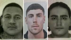 Tweed Tigers of old and new