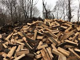 Any season is a good time to see what's in bloom. Half Full Cord Firewood Delivery Willow Tree And Landscape Services