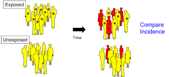 Cohort Studies