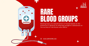 Image result for Blood Type