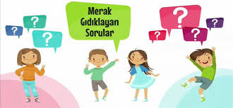 Miniklerin Merak Gidiklayan Sorular Ina Yanitlar