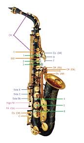 The Complete Saxophone Fingering Chart