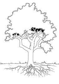 Apple tree with root system and fruits. Roots Trees Coloring Page Coloring Pages Blog Engineer