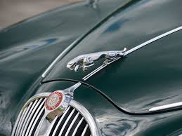 These mascots also make excellent trophy toppers and mailbox markers. Here Are The 5 Best Hood Ornaments According To You Hagerty Media