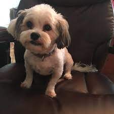Harry Enten On Twitter Oh And I M Moving To Cnn To Do Some Writing And Appear On Some Tv As A Analyst Writer So That Also Happened This Morning Https T Co Lzj37zzdyc