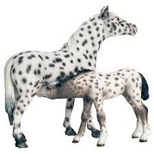 Tractor Supply Co Baby Horses Schleich Bryer Horses