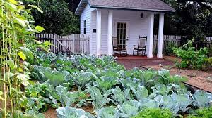 Jul 13, 2021 5:08 pm: 4 Tips To Gardening In Central Florida Mamacita On The Move