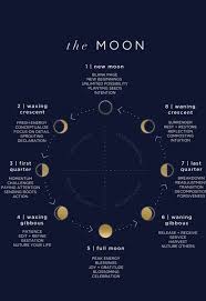 The Moon Image Only Phases Meanings Cycles Astrology Moon Phases Lunar Cycle
