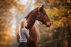 Herbst pferd rhythmus perlen für pferd, entwurf, pony mit federn. Pferdeshooting Im Herbst Pferde Madchen Fotografie Pferde Fotografie Pferdefotografie