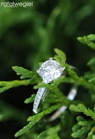 Nikon 105mm F 2 8 G Af S Vr Micro Nikkor Camera Nikon D3s Lens Af S Vr Micro Nikkor 105mm F 2 8g If Ed Exposure 1 640 Fnumber 9 Focal Length 105 Iso 3200 Auto W Nikon D3s Camera Gear Rings