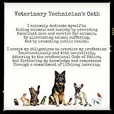  Pin By Jackie Hinther On Vet Tech Vet Tech Quotes Vet Tech Humor Veterinary Technician Week