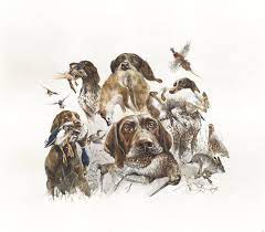 german shorthaired pointer print pointer art german pointer etsy avcilik