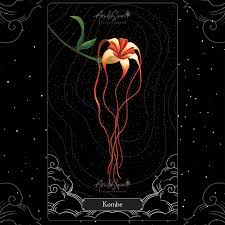 Image result for Strophanthus kombe