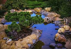Teich Anlegen Umfassende Tipps Fur Das Eigene Biotop Gibt Ihnen Wasserspiele Wasserspiel Garten Und Garten Anlegen