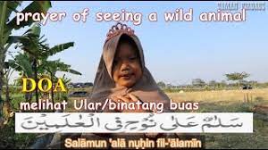 Doa Terhindar Dari Gangguan Ular Doa Melihat Binatang Buas Doa Agar Terlindung Dari Ular Youtube
