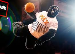 The phoenix suns are an american professional basketball team based in phoenix, arizona. Ranking The Nba S Mascots Sports Illustrated