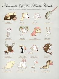 Playful Posters Feature Animals Around The World Artic Animals Illustration History Posters