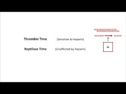 Image result for Thrombin Time