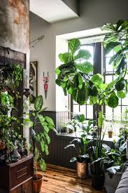 What We Loved This Week Jardin Interieur Jardin D Hiver Plantes De Decor De Maison