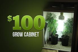 … best diy led grow box from best marijuana grow boxes and cabinets of 2019 reviews. How To Turn A Closet Into A Hydroponic Grow Box Weed Beasts