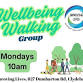 Wellbeing Walking Group event image