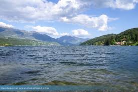 Hunde dürfen im see baden. Urlaub Mit Hund Am See In Karnten Osterreich Reisetipp Fur Hundehalter